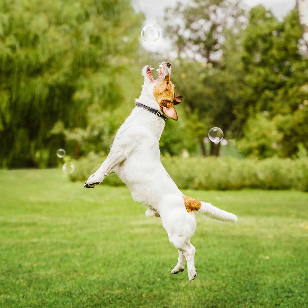 soft fishing lure baits 1