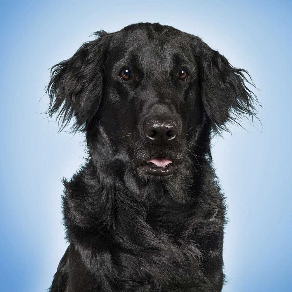 soft fishing lure baits 1