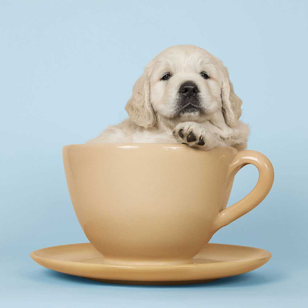 soft fishing lure baits 1