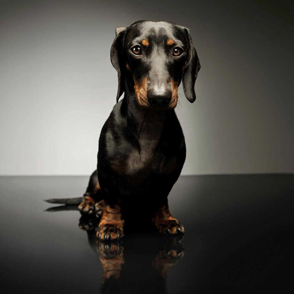 soft fishing lure baits 1