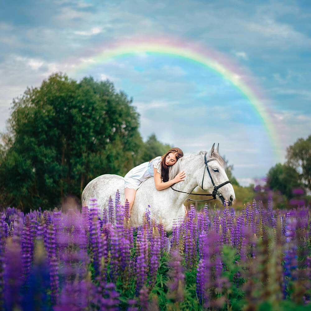 soft fishing lure baits 1